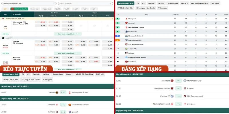 Tính năng nổi bật hút hồn người hâm mộ